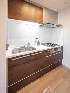 ｐｌａｉｓｉｒ　ｒａｆｆｉｎｅ 0105号-8