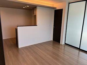 ｐｌａｉｓｉｒ　ｒａｆｆｉｎｅ 0305号-2