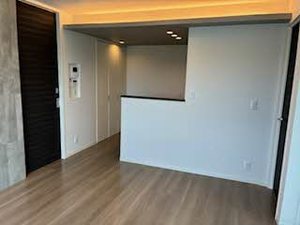 ｐｌａｉｓｉｒ　ｒａｆｆｉｎｅ 0305号-3