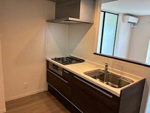 ｐｌａｉｓｉｒ　ｒａｆｆｉｎｅ 0305号-4