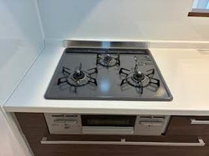 ｐｌａｉｓｉｒ　ｒａｆｆｉｎｅ 0305号-5