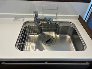 ｐｌａｉｓｉｒ　ｒａｆｆｉｎｅ 0305号-6