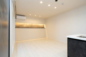 シャーメゾン　プレミアスⅡ 0201号-3