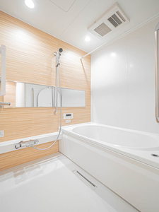 Ｓｈａ　Ｍａｉｓｏｎ　さかえ 0301号-8