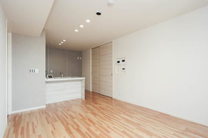 SouthMaisonさくら 0201号-3