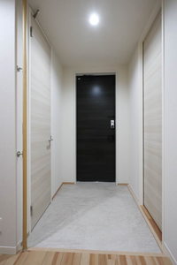 SouthMaisonさくら 0201号-6