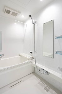 SouthMaisonさくら 0201号-9