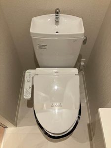 ロイヤルテラス　西大寺 0201号-10