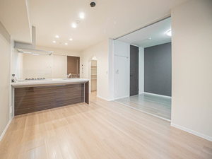 ロイヤルテラス 西大寺 0202号-2