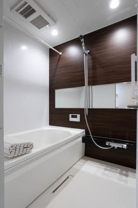 ラ　メゾン　デ　プレズィール 0301号-9