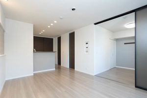 ラ　メゾン　デ　プレズィール 0302号-3