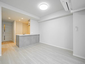 サンエール南堀江 0315号-2