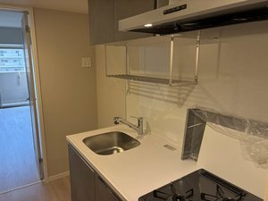 サンエール南堀江 0405号-5