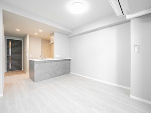 サンエール南堀江 0505号-2