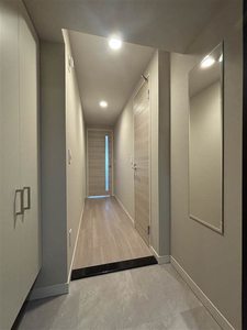 サンエール南堀江 0710号-10