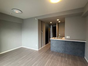 サンエール南堀江 0905号-2