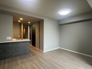 サンエール南堀江 0908号-2