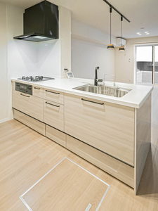 ボンクハージュ プラス 0103号-8