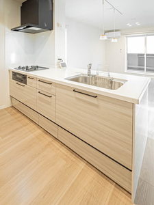 ボンクハージュ　プラス 0201号-8