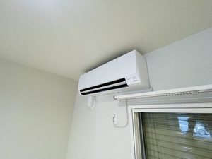 ハイツ・グリーン 0102号-3