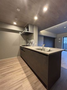 リビエナ グラン 新梅田 0505号-4