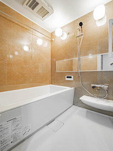 リビエナ　グラン　新梅田 0907号-9
