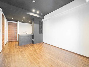 セントリヴィエ大阪梅田 0305号-2