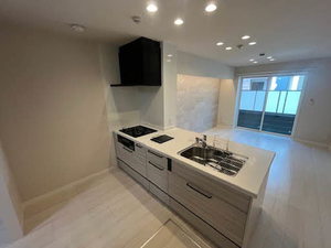 シャーメゾン　レビリオ 0101号-3