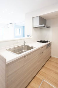 フレシア天王寺 0110号-8