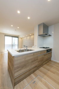 グランメゾン藤森 0103号-7