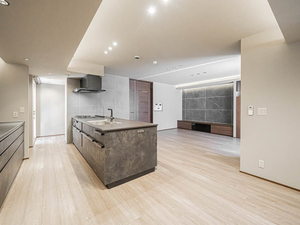 ＴＨＥ　ＳＫＹ　御影郡家 0202号-9