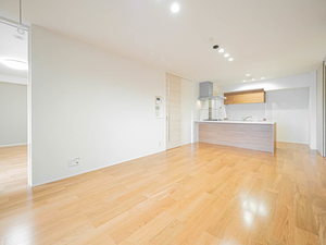 シャトードール　プレミア 0101号-2