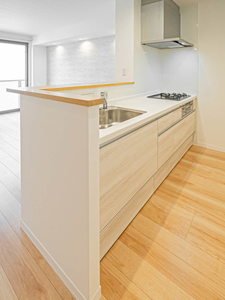 サワーソレアードB 0202号-7