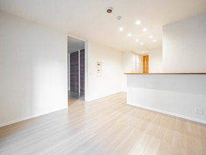 ＳｈａＭａｉｓｏｎ　Ｐｒｅｃｉｏｕｓ 0101号-2