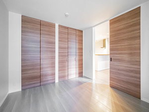 ＳｈａＭａｉｓｏｎ　Ｐｒｅｃｉｏｕｓ 0101号-9