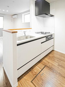 ＳｈａＭａｉｓｏｎ　ＮＡＯ 0101号-7