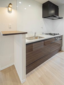 セレンディピティ アトレ 0301号-8