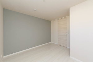 シェノールカノン 0103号-10