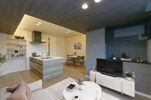 シャーメゾン　サイビータ 0203号-2