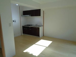 モナーク・シャトー 0101号-11