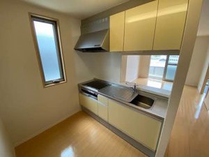 シャーメゾン童子山 0103号-5