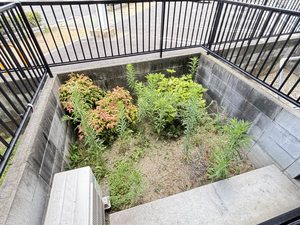 寝屋川菊池ハイツ 0102号-11