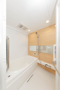 シャーメゾン　ワイズベル 0102号-4