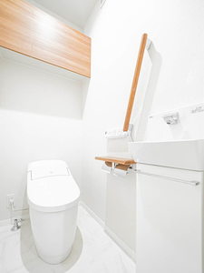 Ｓｈａｍａｉｓｏｎ　ｖｅｒｄｅ 0203号-5