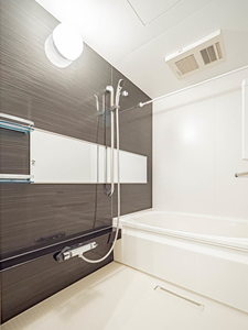 Ｓｈａｍａｉｓｏｎ　ｖｅｒｄｅ 0203号-7