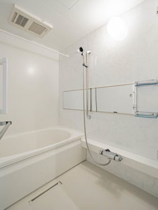 ＳｈａＭａｉｓｏｎ　ＹＡＨＥＩ　Ⅱ 0301号-6