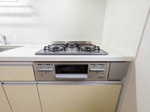 Ｖｉｏｌａ野田（ビオラノダ） 0102号-12