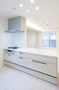 シャーメゾン　アプリクス 0201号-8