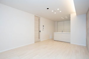 シャーメゾン　アプリクス 0301号-2