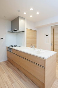 シャーメゾン　アプリクス 0303号-8